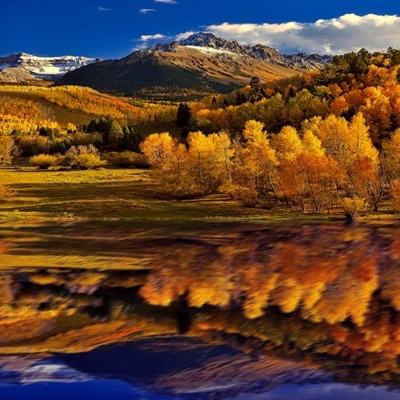 欧意app官网下载